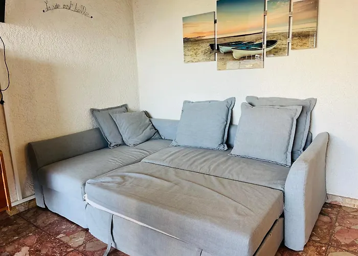 T2 A 200m De La Avec Parking, Animaux Admis - Fr-1-309-474 * Saint-Cyprien (Pyrenees-Orientales)